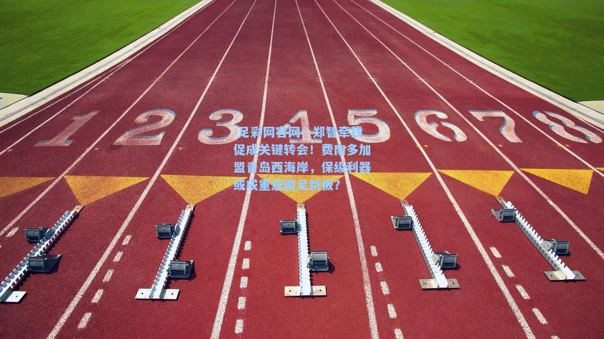  足彩网官网：郑智牵线促成关键转会！费南多加盟青岛西海岸，保级利器或成重返国足跳板？